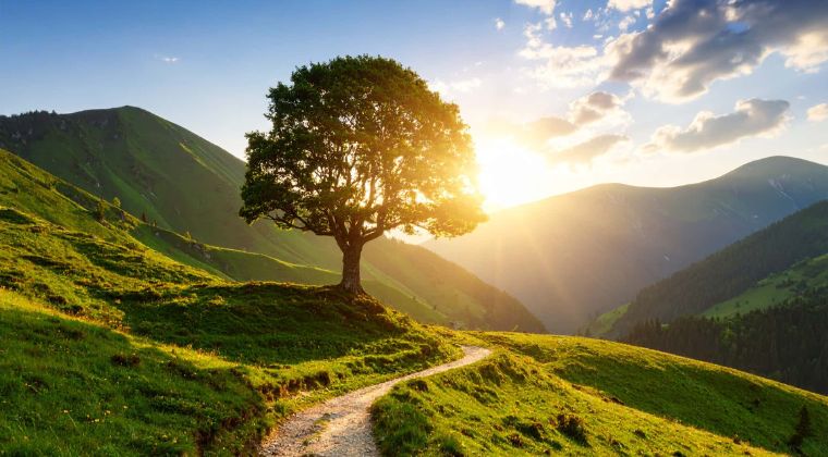 Course Card Practical Tools for Anxiety Relief: Part Two